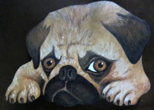 Pug