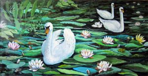 Swans Water Lilies