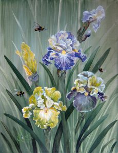 Bees and Iris